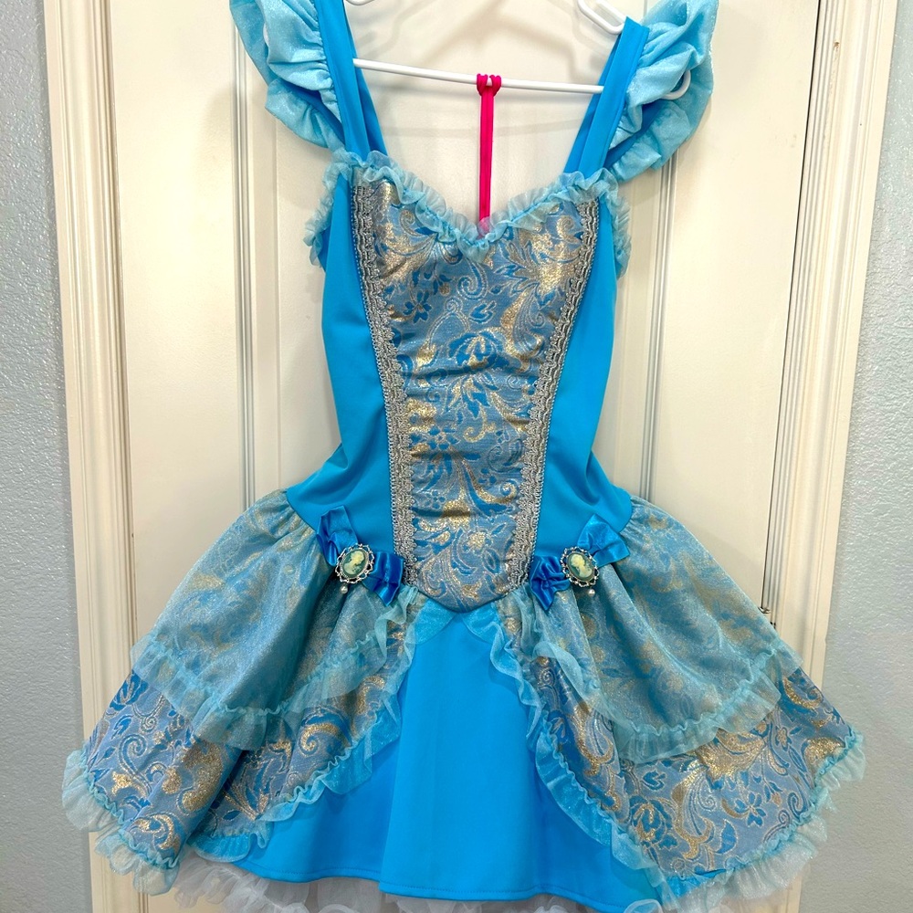 Cinderella Costume Dress- worn once - great condition!